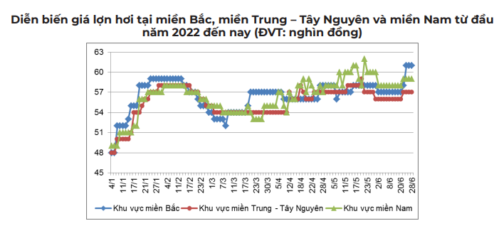 Nông dân lại "sốt ruột" về giá lợn hơi trước dự báo "nóng" về thị trường tiêu thụ thịt