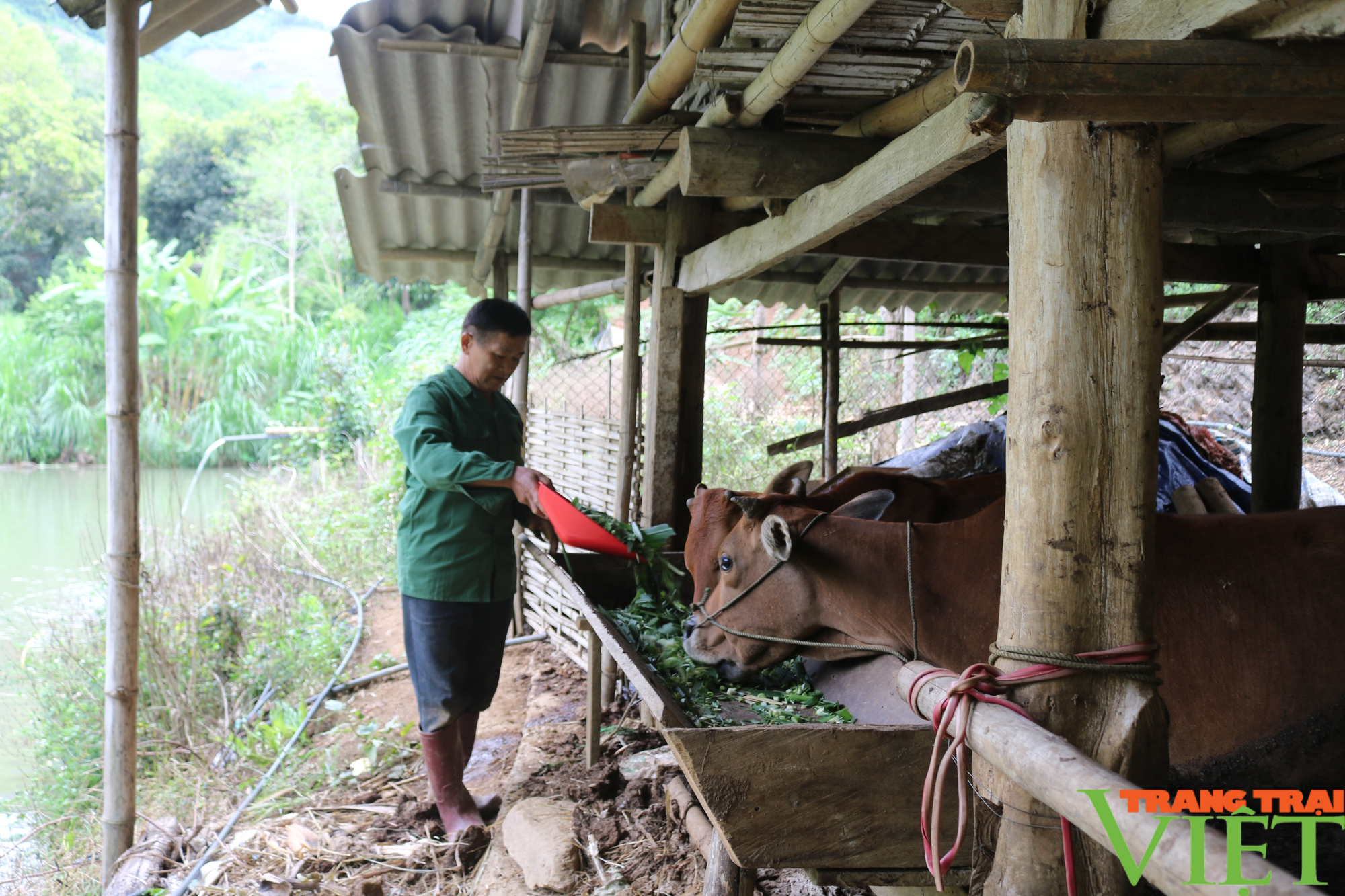 Xây dựng nông thôn mới ở xã vùng cao Sơn La - Ảnh 6.