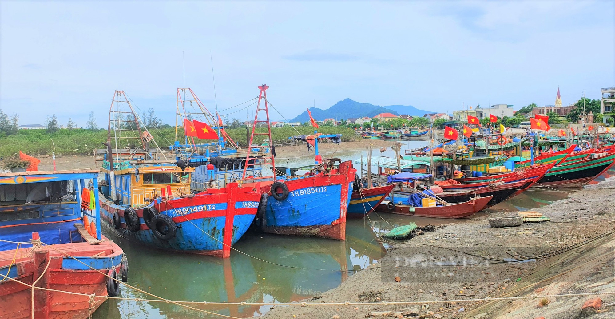 Cần có chính sách đặc thù để ngư dân yên tâm vươn khơi bám biển - Ảnh 2.