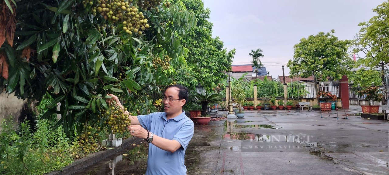 Xã Đoàn Lập, Hải Phòng: “Vùng giáo xứ bình yên” - Ảnh 5.