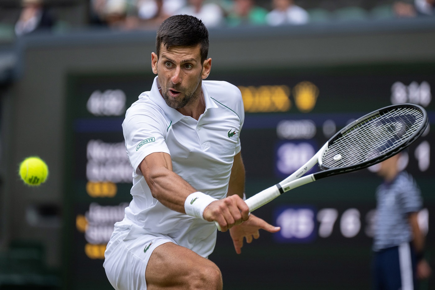 Wimbledon 2022: Ngược dòng ngoạn mục, Djokovic vào bán kết - Ảnh 2.