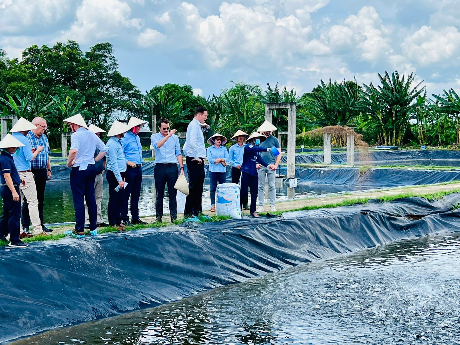 Doanh nghiệp Hà Lan muốn mở rộng đầu tư vào nông nghiệp đồng bằng sông Cửu Long - Ảnh 4.