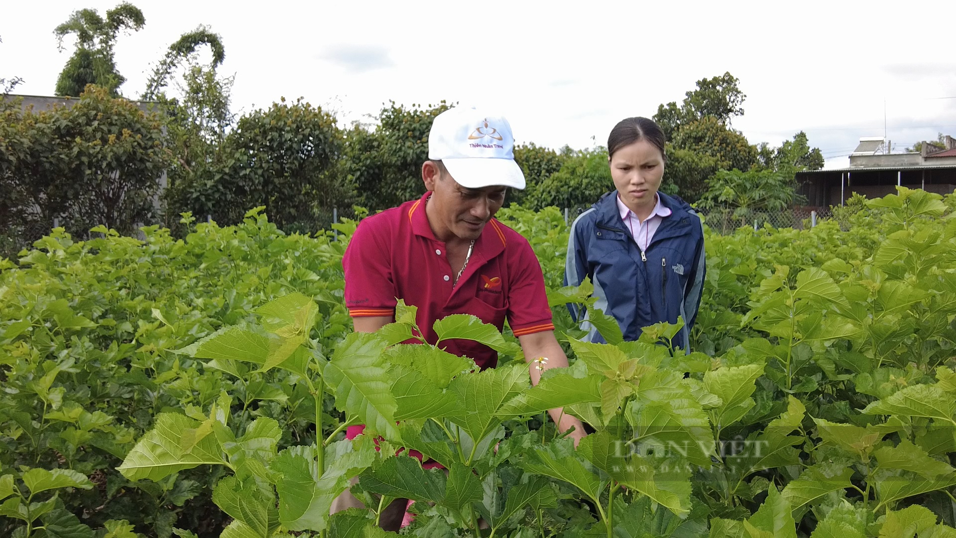 HND Lâm Đồng: Hướng dẫn hơn 400 hộ dân đưa nông sản lên sàn thương mại điện tử, tiêu thụ hơn 8.000 tấn  - Ảnh 2.