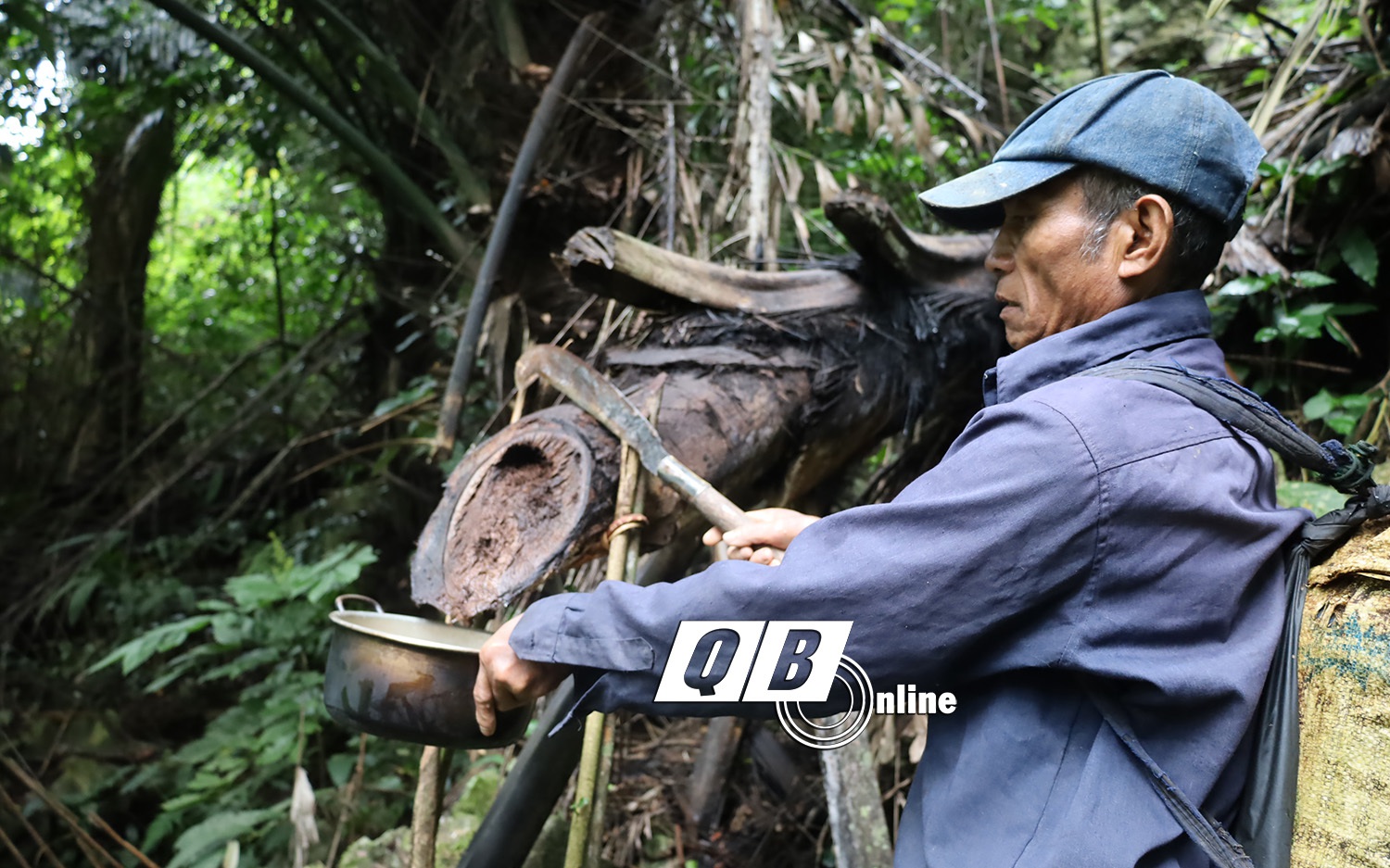 Khát nước tình cờ lấy cục đá đục vào thân cây ra thứ rượu của một trong những bộ tộc bí ẩn nhất thế giới