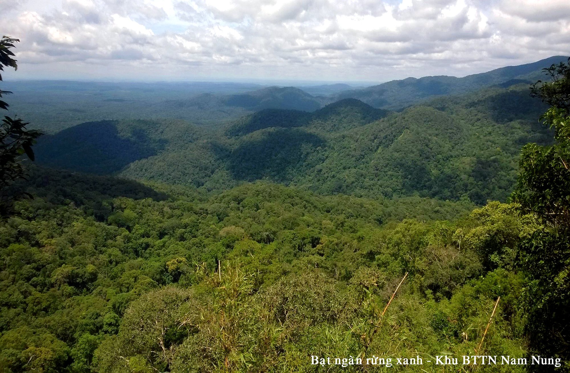 Khu bảo tồn thiên nhiên Nam Nung: “Kích hoạt” tiềm năng du lịch sinh thái trong môi trường rừng - Ảnh 4.