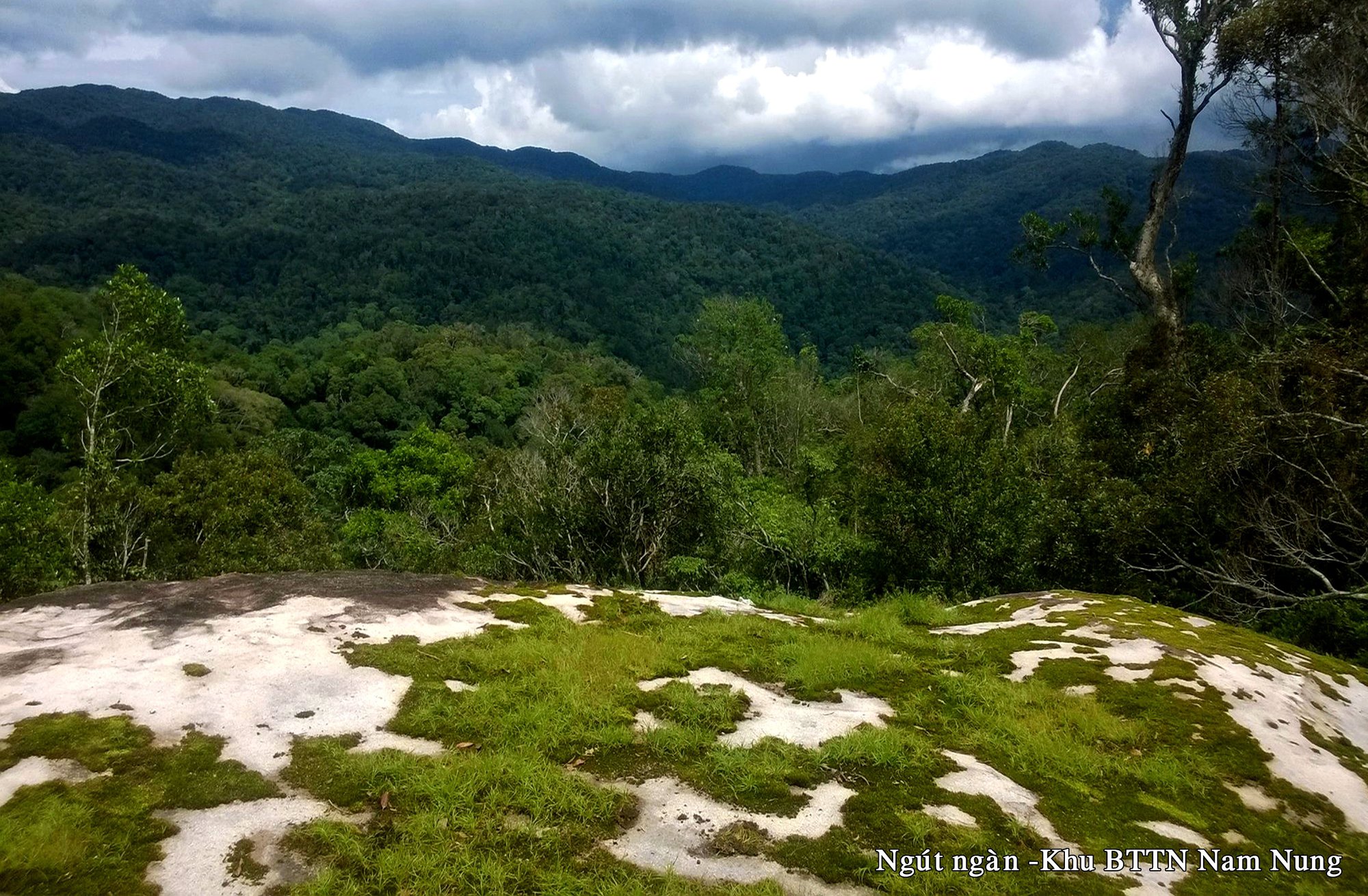 Khu bảo tồn thiên nhiên Nam Nung: “Kích hoạt” tiềm năng du lịch sinh thái trong môi trường rừng - Ảnh 2.