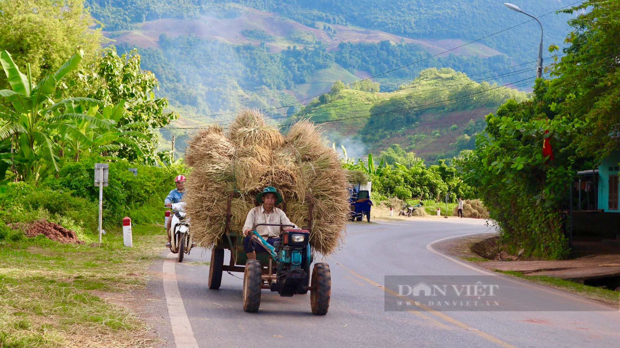 Mùa vàng trên vùng cao Sơn La - Ảnh 8.