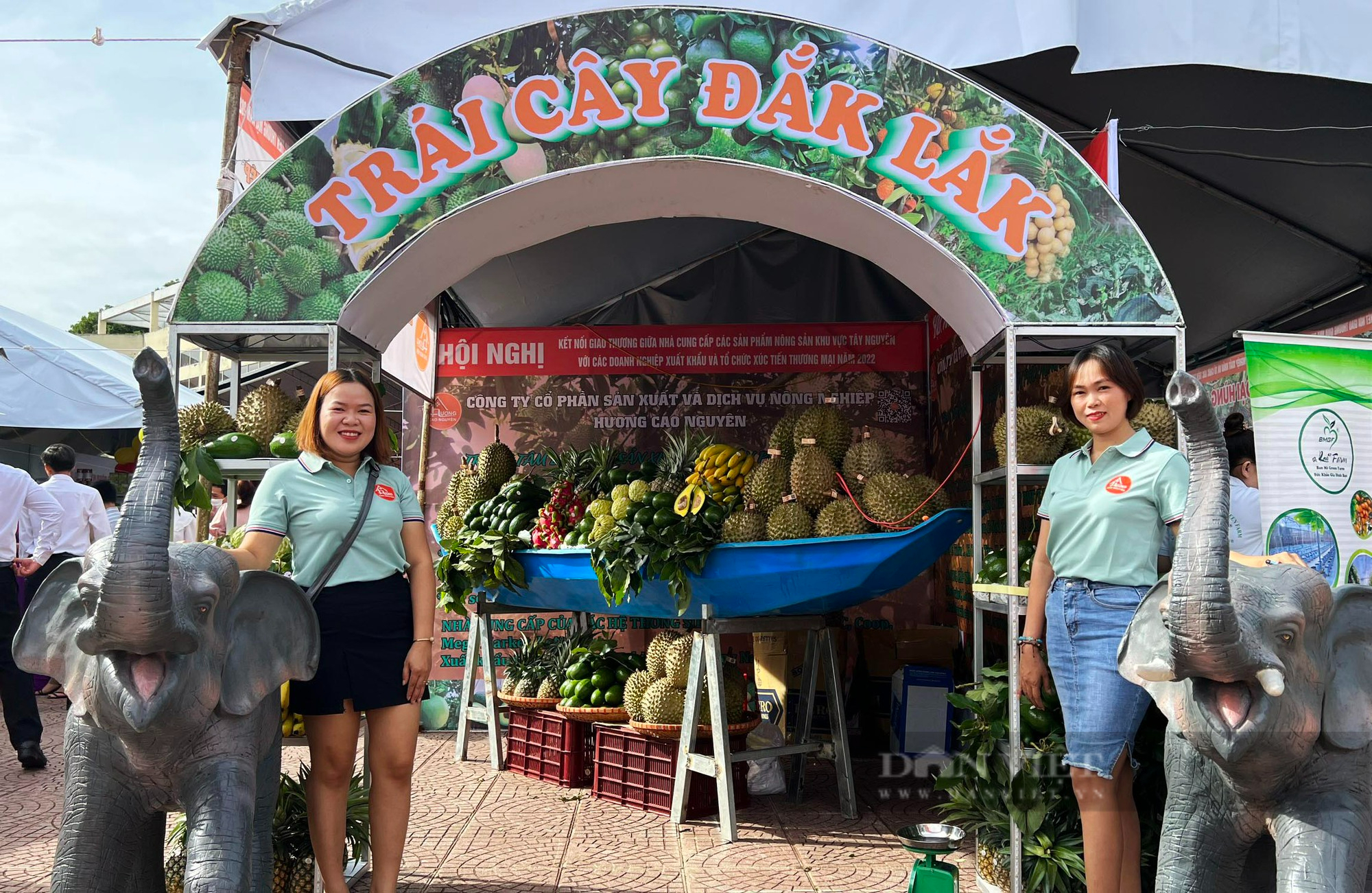 Hội Nông dân tỉnh Đắk Lắk quảng bá, hỗ trợ tiêu thụ nông sản tiêu biểu của tỉnh - Ảnh 3.