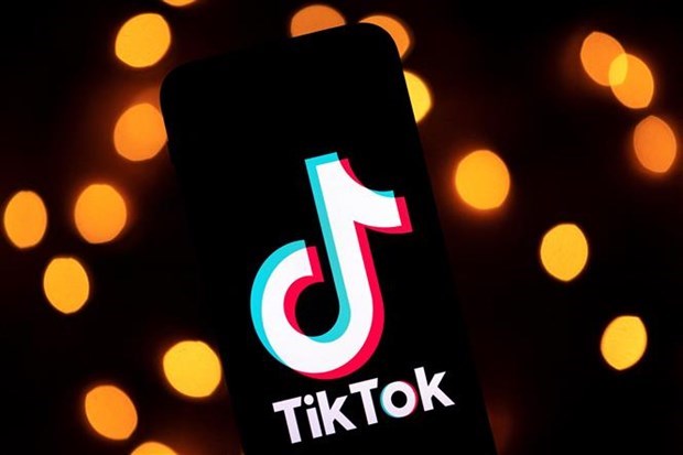 TikTok xóa 2,4 triệu video của người dùng Việt Nam có nội dung vi phạm - Ảnh 1.