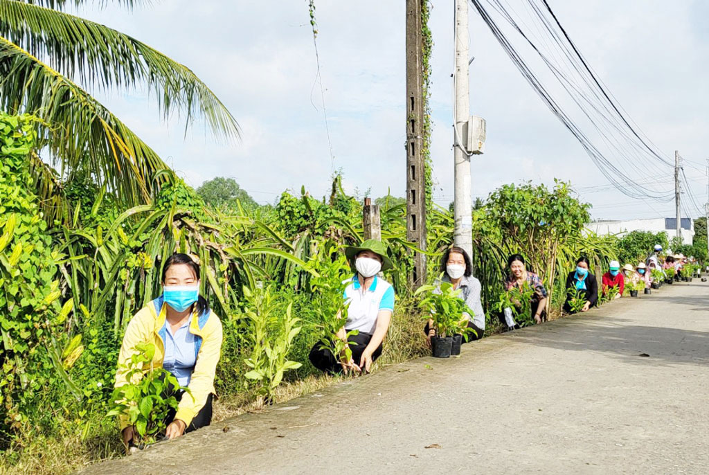 Đẹp mê tơi đường nông thôn mới trồng hoa, trồng cây cảnh ở huyện Châu Thành của Long An - Ảnh 1.