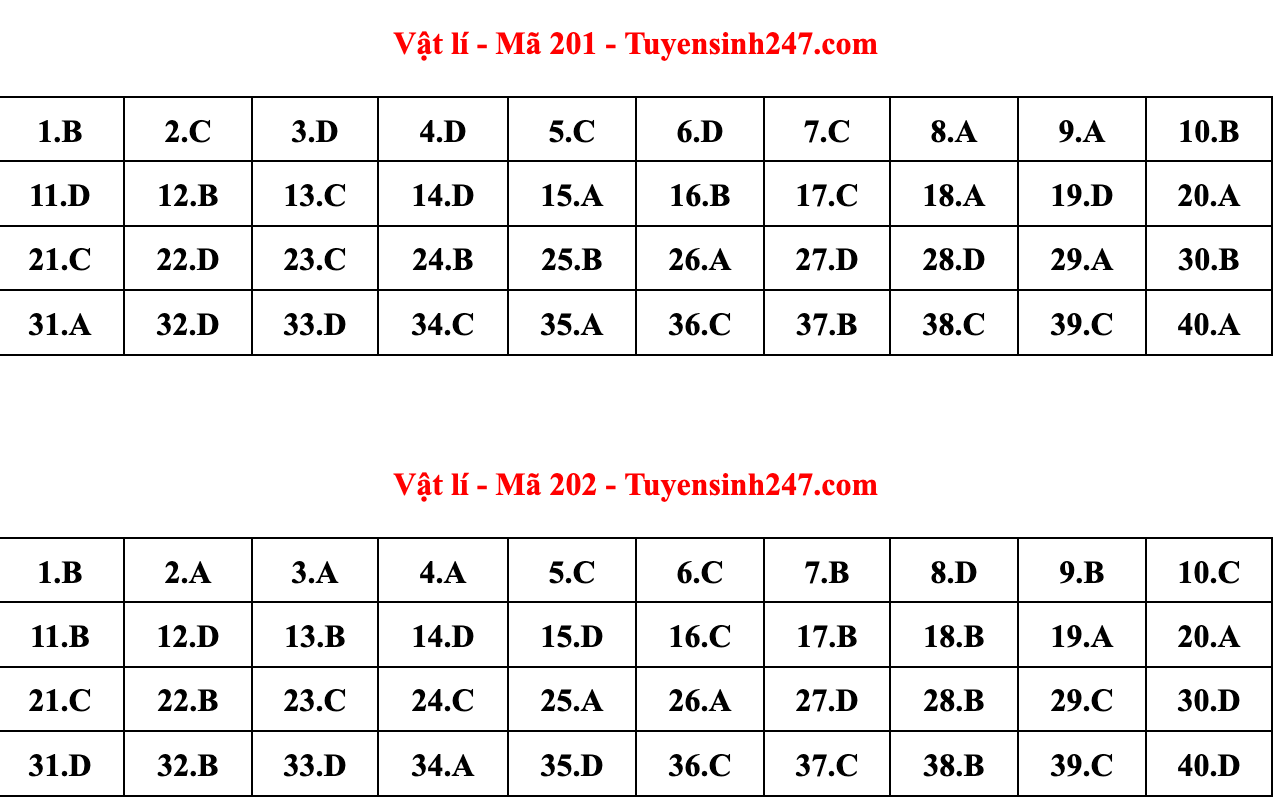 Gợi ý đáp án đề thi môn Vật lý tốt nghiệp THPT năm 2022 - Ảnh 10.