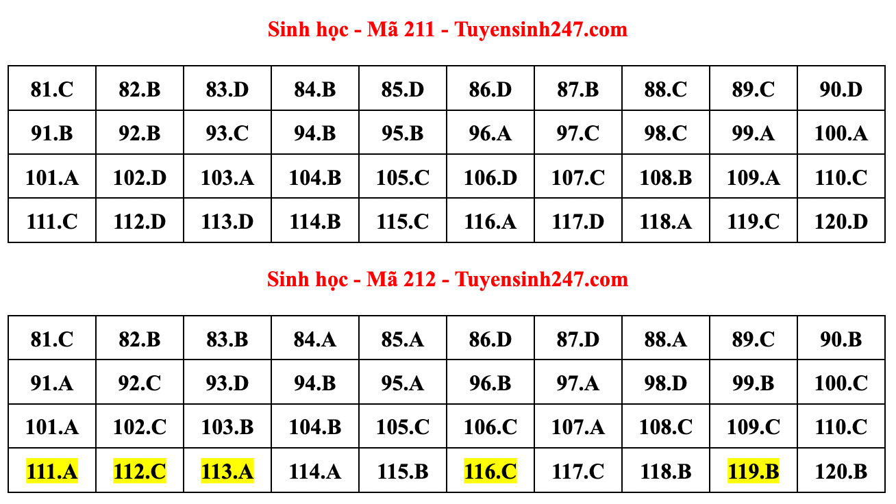 Gợi ý đáp án đề thi môn Sinh học tốt nghiệp THPT năm 2022 - Ảnh 5.