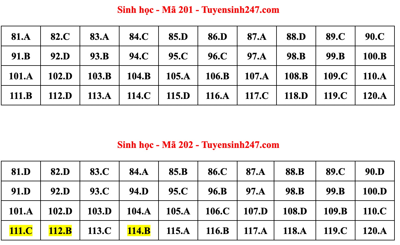 Gợi ý đáp án đề thi môn Sinh học tốt nghiệp THPT năm 2022 - Ảnh 3.