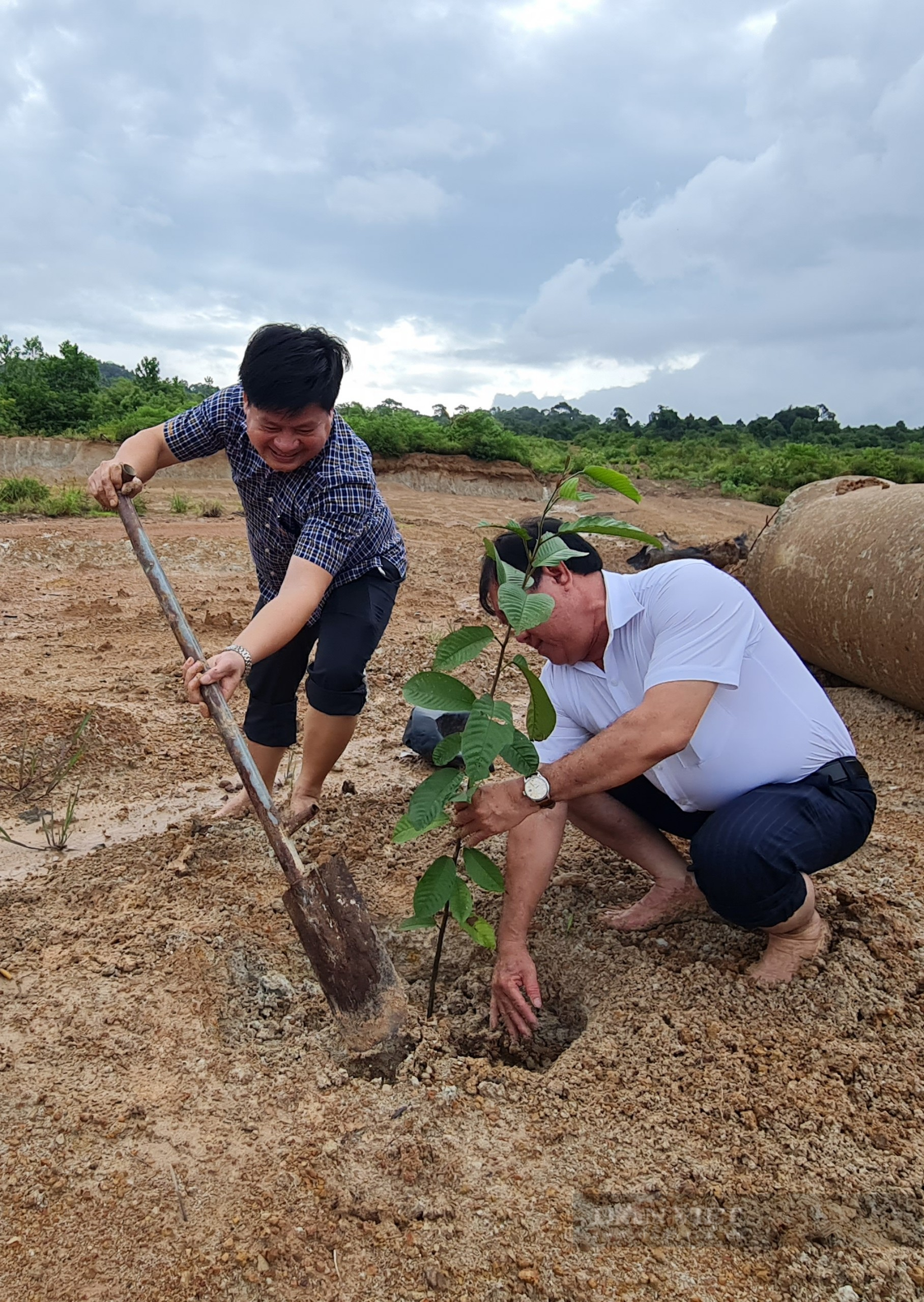 Phú Quốc: Phát động toàn dân trồng rừng trên 40 ha diện tích đất vi phạm đã thu hồi - Ảnh 1.