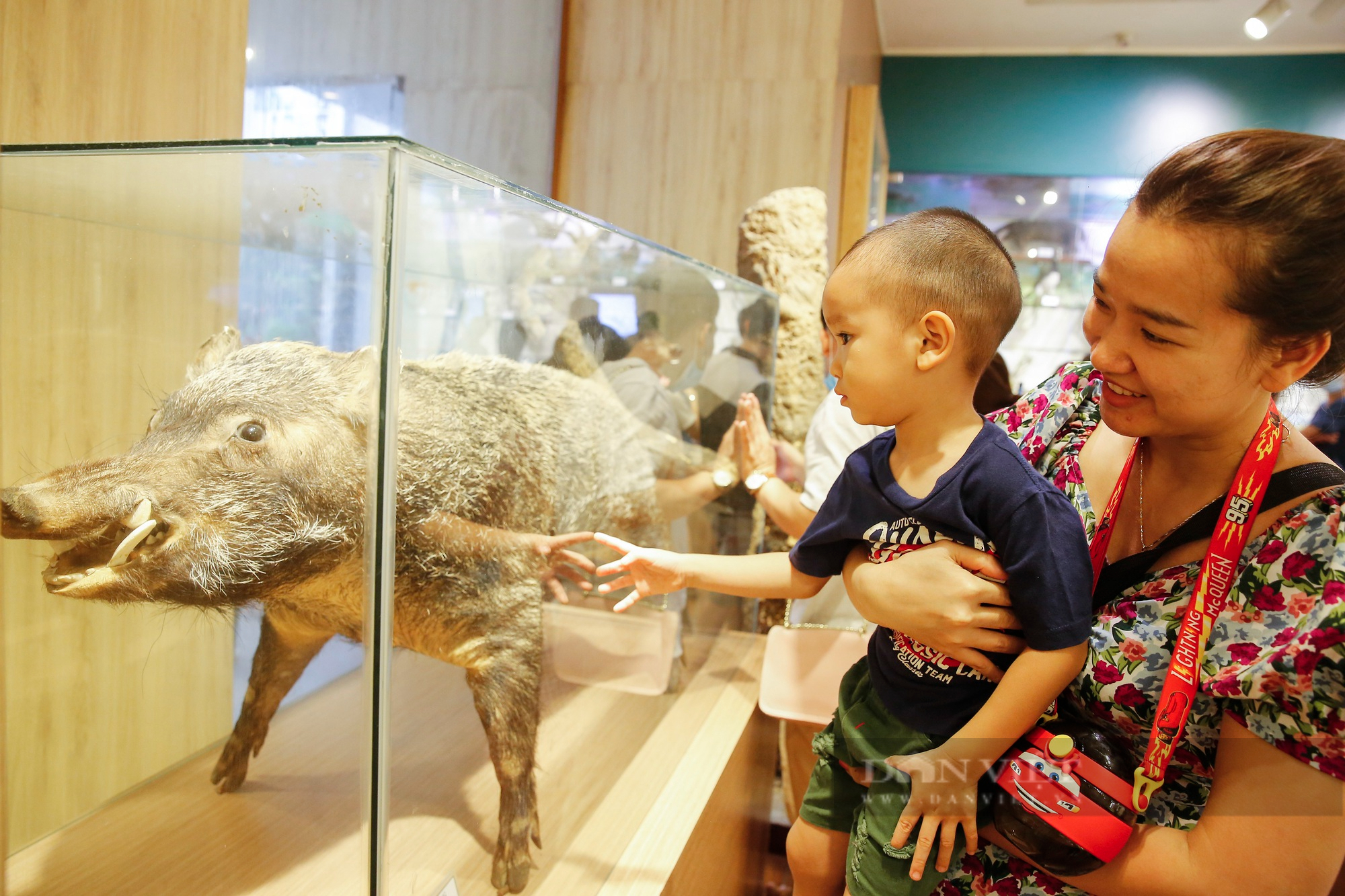 Trẻ em Hà Nội thích thú với hơn 1400 mẫu vật tái hiện sự sống hàng triệu năm trước - Ảnh 11.