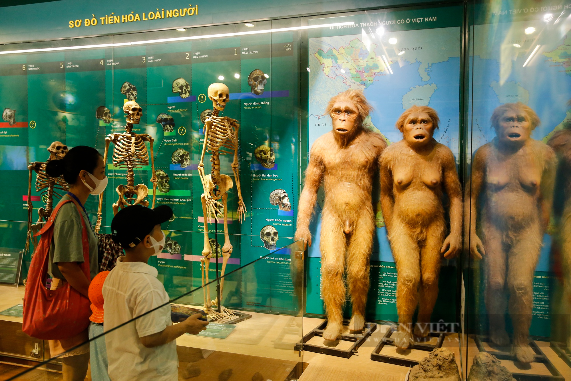 Trẻ em Hà Nội thích thú với hơn 1400 mẫu vật tái hiện sự sống hàng triệu năm trước - Ảnh 13.