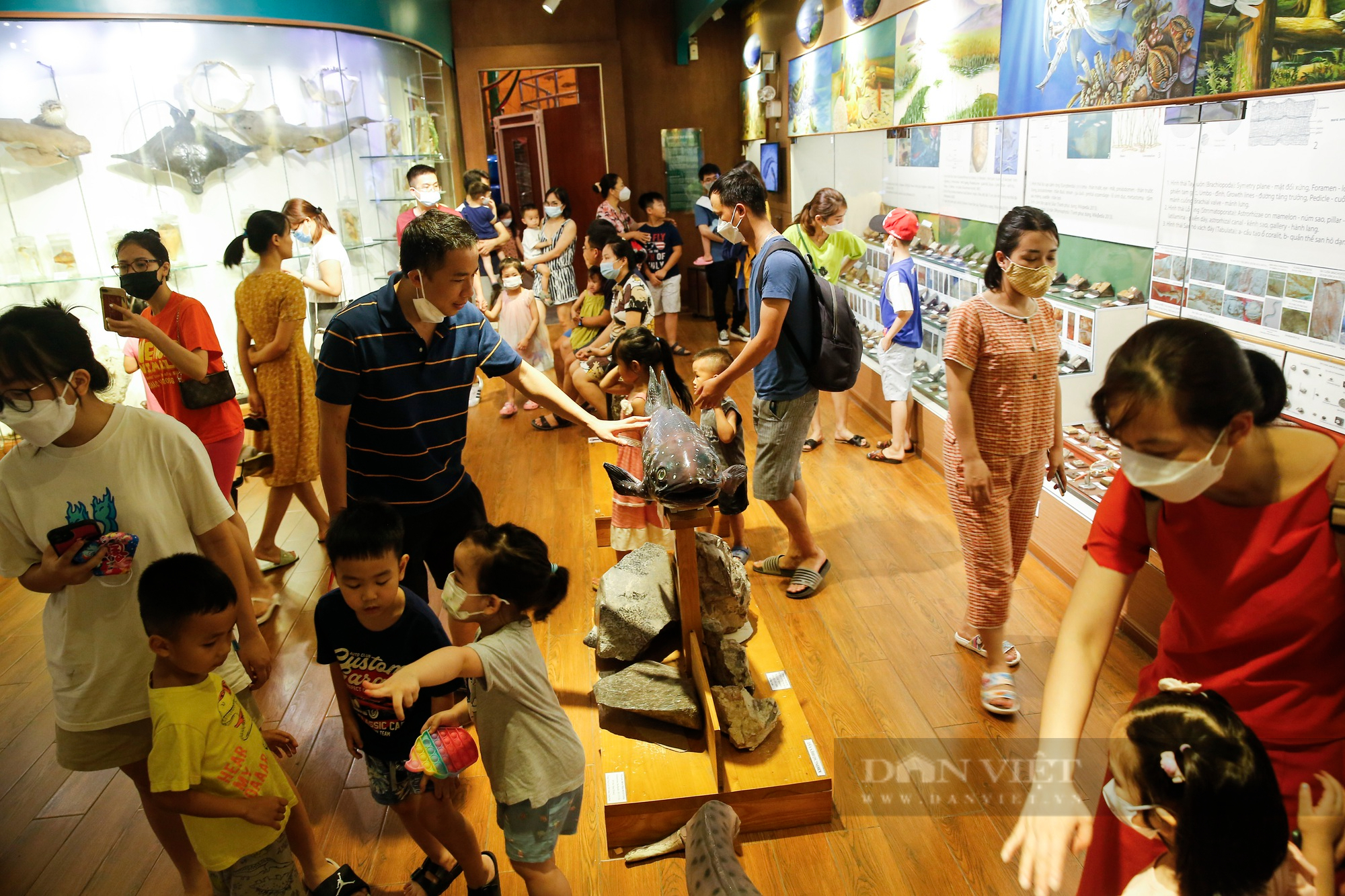 Trẻ em Hà Nội thích thú với hơn 1400 mẫu vật tái hiện sự sống hàng triệu năm trước - Ảnh 3.