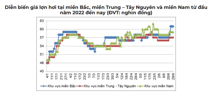 Vì sao giá lợn hơi đồng loạt tăng mạnh, tiến sát mốc 70.000 đồng/kg? - Ảnh 2.