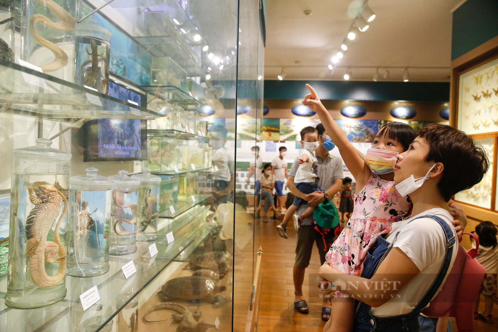 Trẻ em Hà Nội thích thú với hơn 1400 mẫu vật tái hiện sự sống hàng triệu năm trước - Ảnh 4.