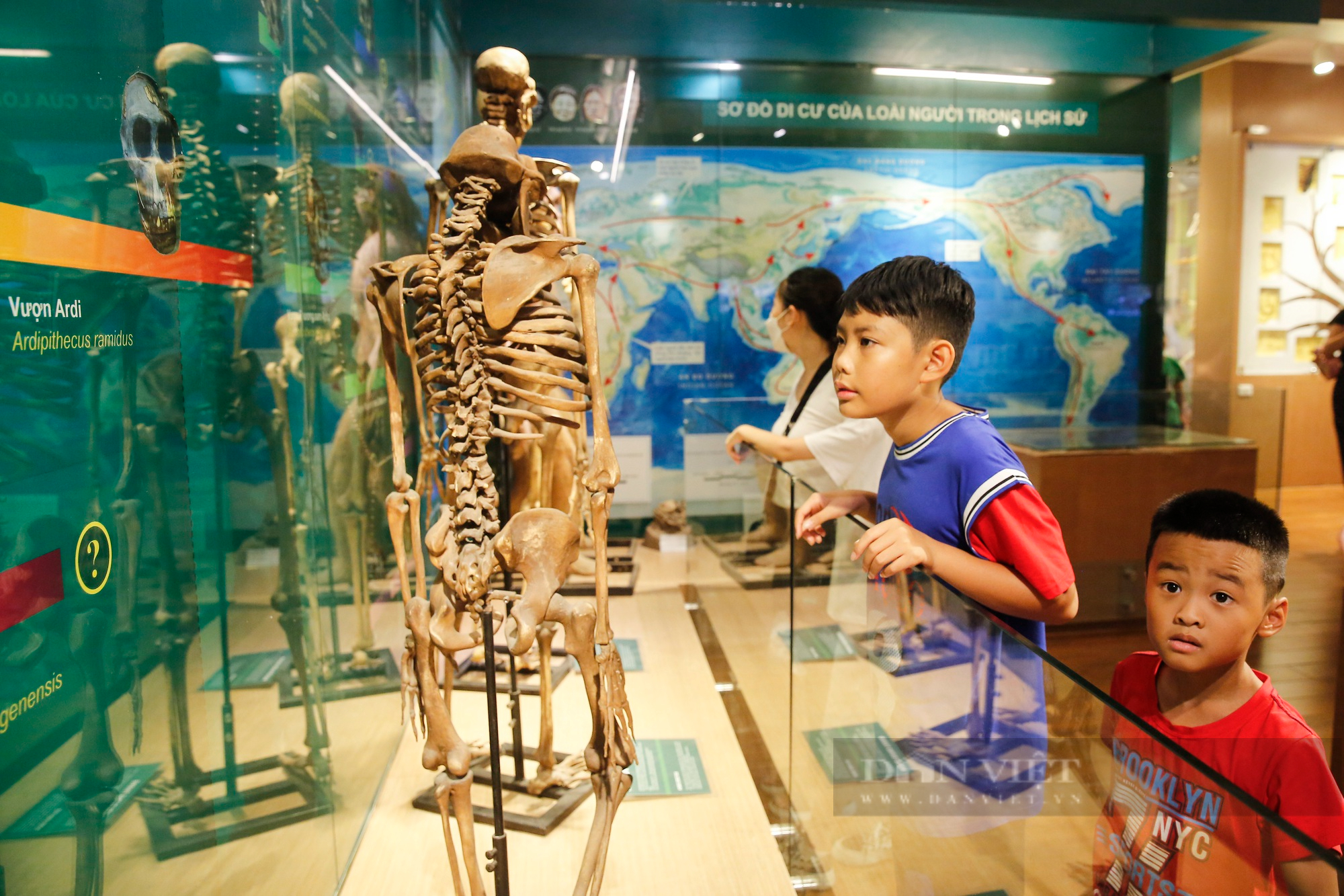 Trẻ em Hà Nội thích thú với hơn 1400 mẫu vật tái hiện sự sống hàng triệu năm trước - Ảnh 5.