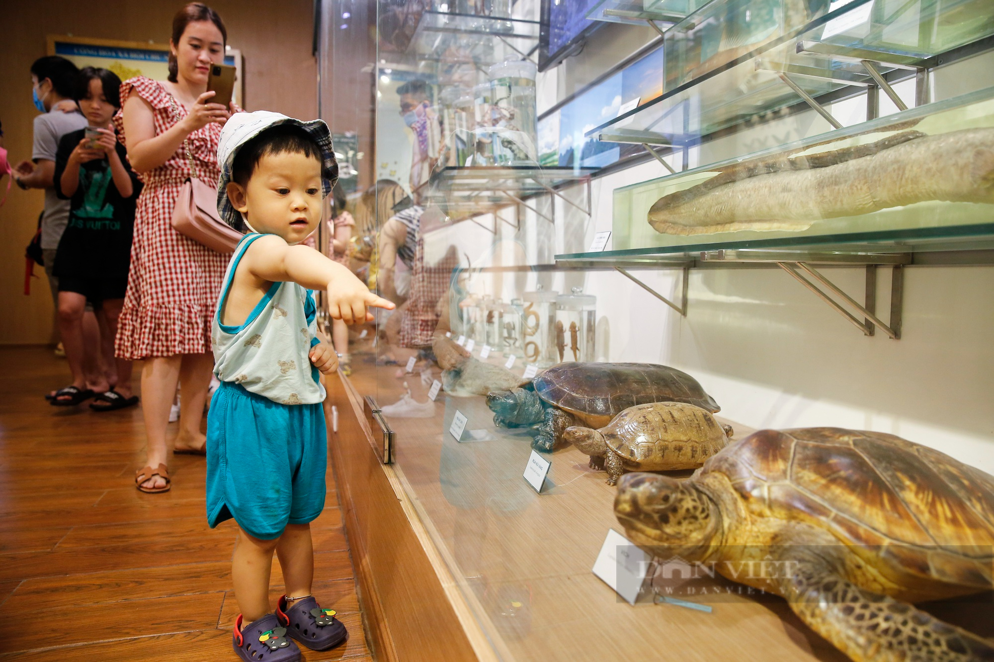 Trẻ em Hà Nội thích thú với hơn 1400 mẫu vật tái hiện sự sống hàng triệu năm trước - Ảnh 8.