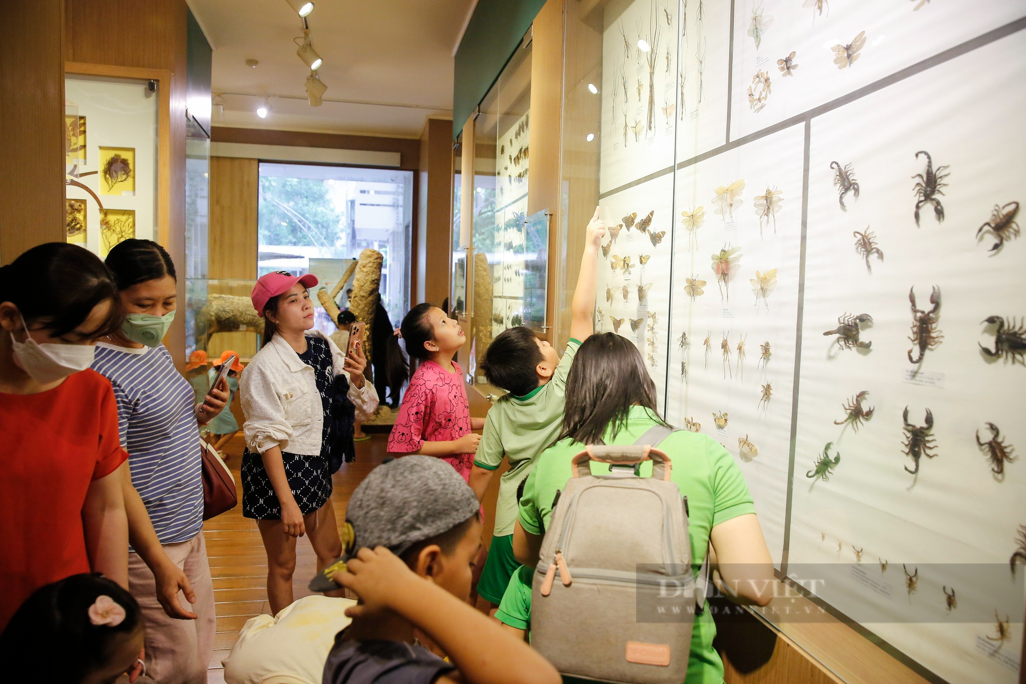 Trẻ em Hà Nội thích thú với hơn 1400 mẫu vật tái hiện sự sống hàng triệu năm trước - Ảnh 10.