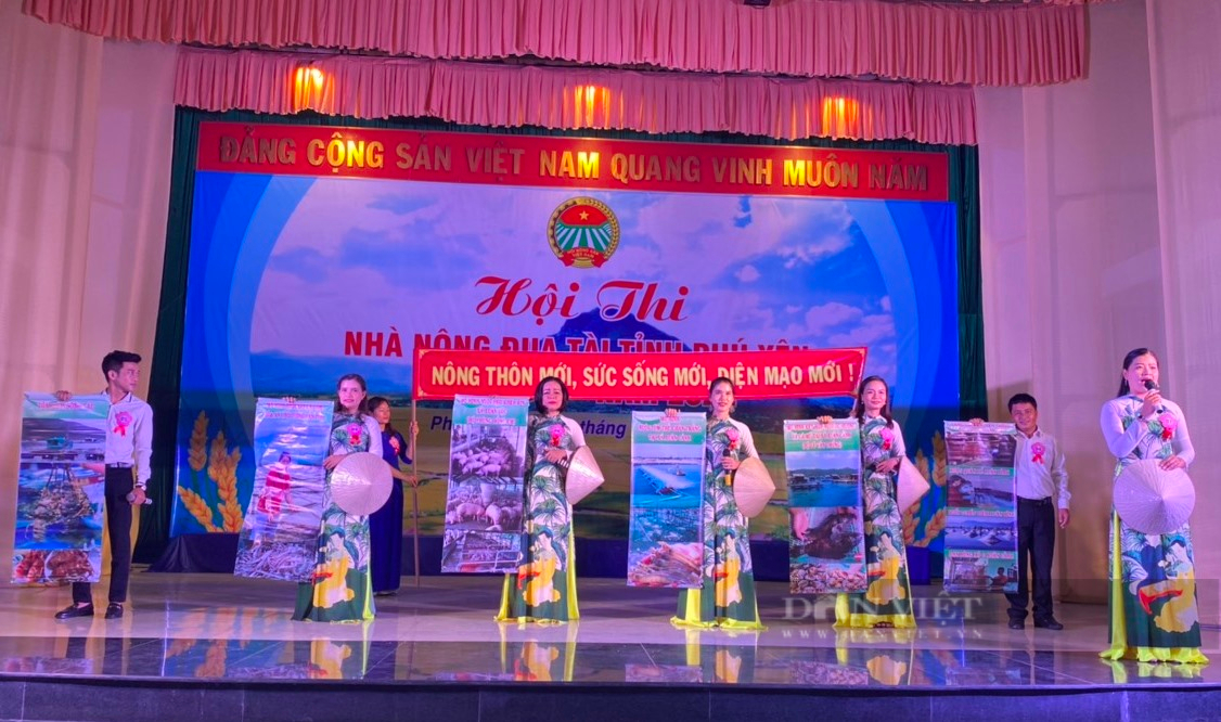 Hội Nông dân huyện Sông Hinh đoạt giải nhất Hội thi Nhà nông đua tài tỉnh Phú Yên - Ảnh 3.