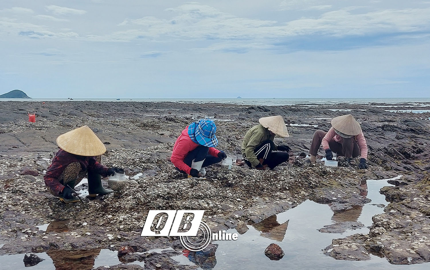Đội nắng hành nghề gõ &quot;cóc, cóc, cóc&quot;  trên đá ở bãi biển Quảng Bình, mỗi ngày dân kiếm vài trăm ngàn - Ảnh 3.
