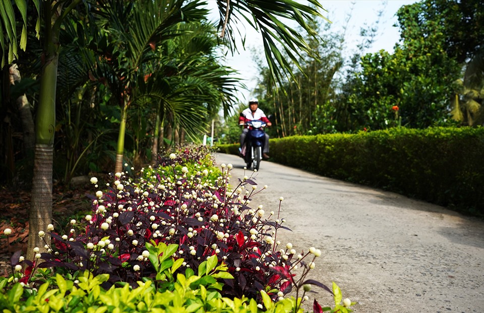 Hậu Giang: Đường hoa nông thôn mới, trồng cây cảnh miên man khiến dân tình &quot;phát sốt&quot; - Ảnh 2.