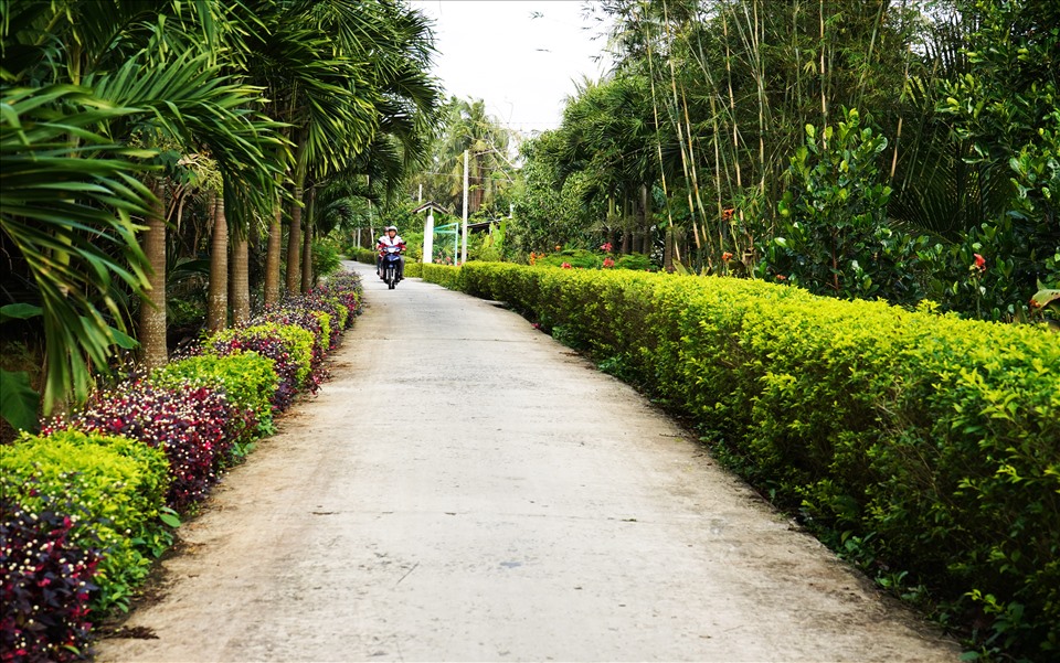 Hậu Giang: Đường hoa nông thôn mới, trồng cây cảnh miên man khiến dân tình &quot;phát sốt&quot; - Ảnh 1.