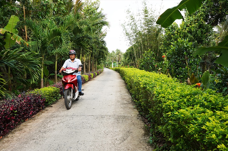 Hậu Giang: Đường hoa nông thôn mới, trồng cây cảnh miên man khiến dân tình &quot;phát sốt&quot; - Ảnh 8.