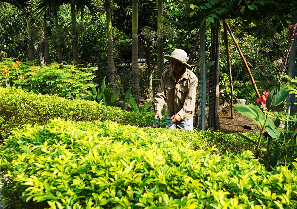 Hậu Giang: Đường hoa nông thôn mới, trồng cây cảnh miên man khiến dân tình &quot;phát sốt&quot; - Ảnh 6.