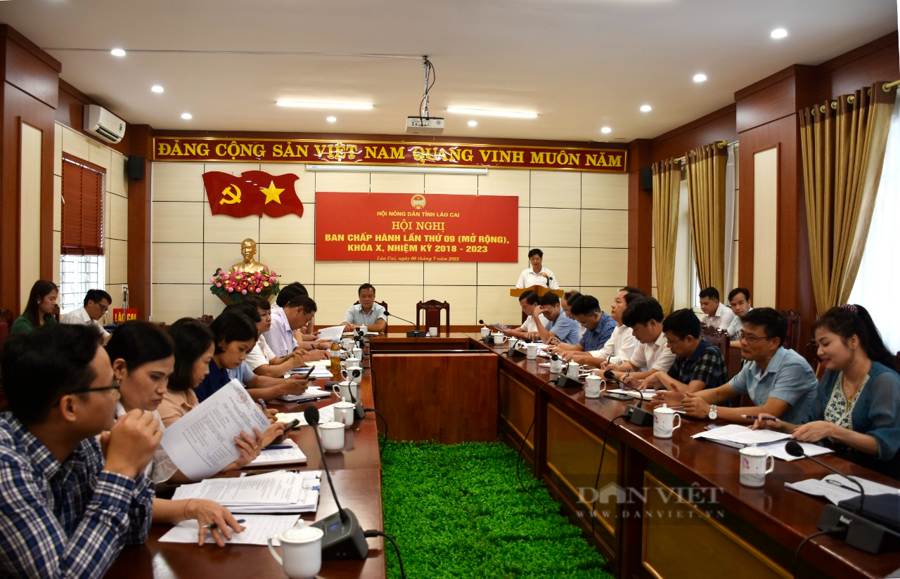 Hội Nông dân tỉnh Lào Cai tổ chức Hội nghị BCH HND tỉnh lần thứ 9, khóa X (nhiệm kỳ 2018 - 2023) - Ảnh 1.