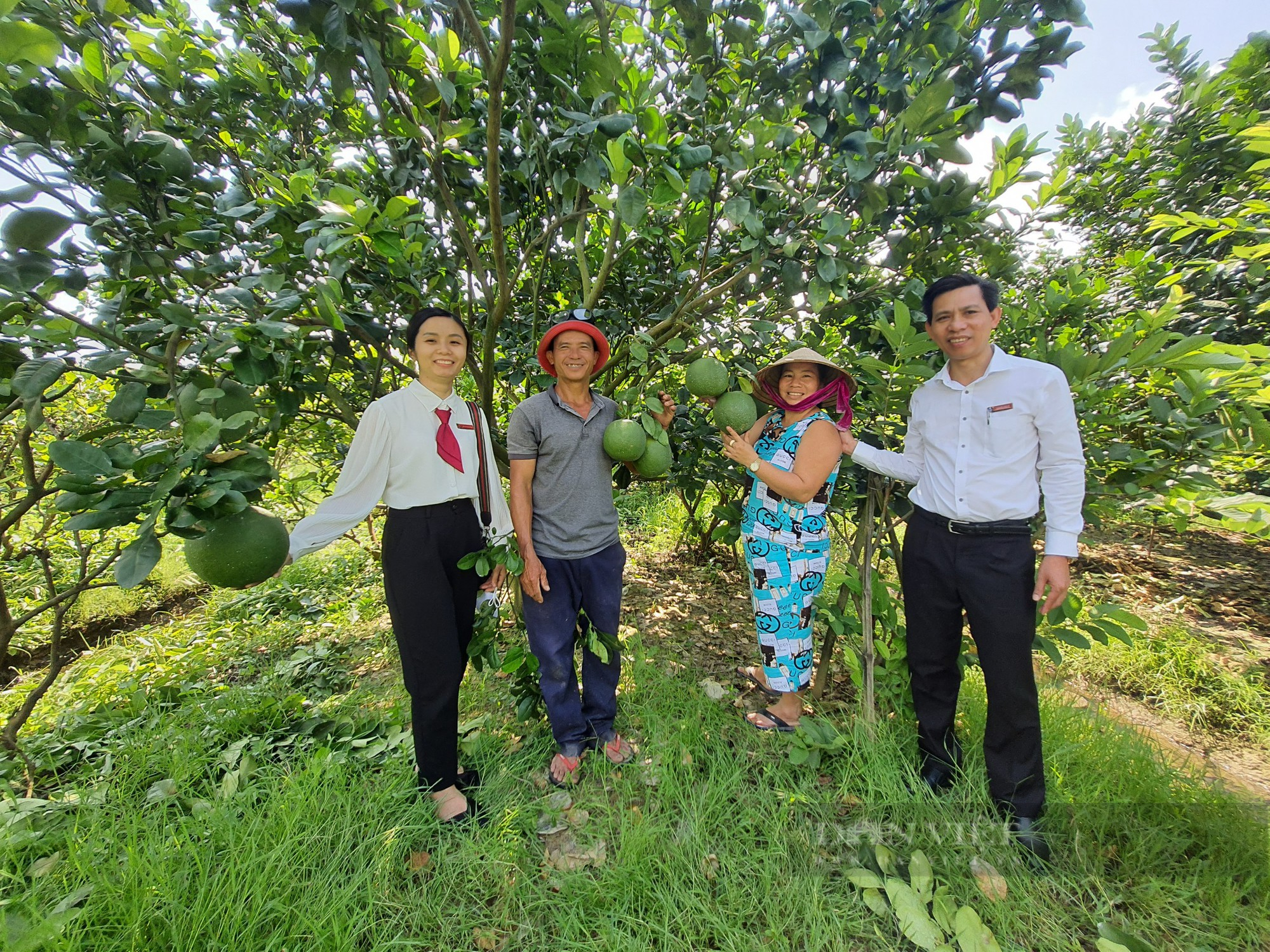 Quảng Nam: Tạo đòn bẩy từ các mô hình kinh tế, Đại Lộc hướng đến huyện nông thôn mới - Ảnh 7.