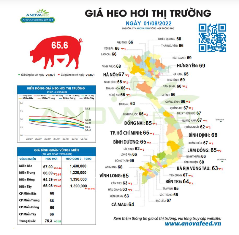 Giá lợn hơi ngày 1/8, đầu tháng ảm đạm - Ảnh 2.