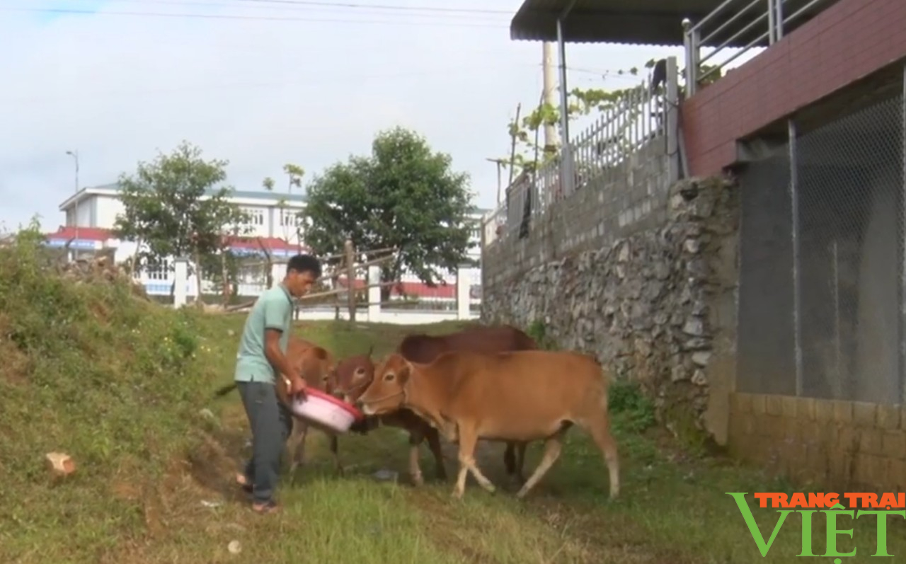 Lai Châu: Sìn Hồ chủ động phòng chống dịch bệnh gia súc, gia cầm - Ảnh 6.
