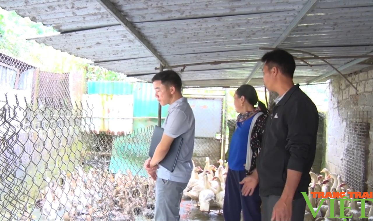 Lai Châu: Sìn Hồ chủ động phòng chống dịch bệnh gia súc, gia cầm - Ảnh 7.