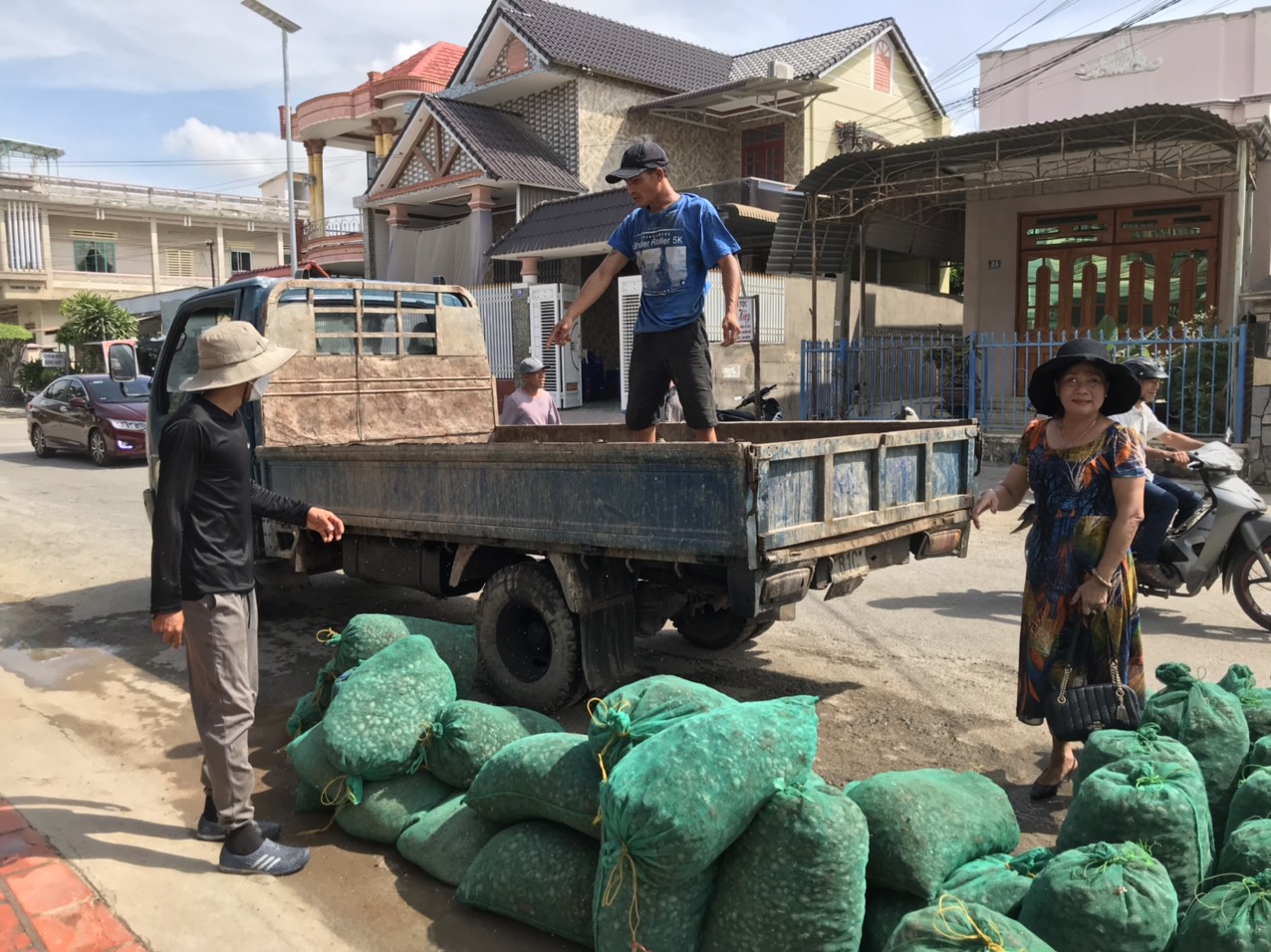 Người nuôi tôm hùm khóc rồng, vì thương lái mua tôm &quot;quỵt&quot; nợ - Ảnh 1.