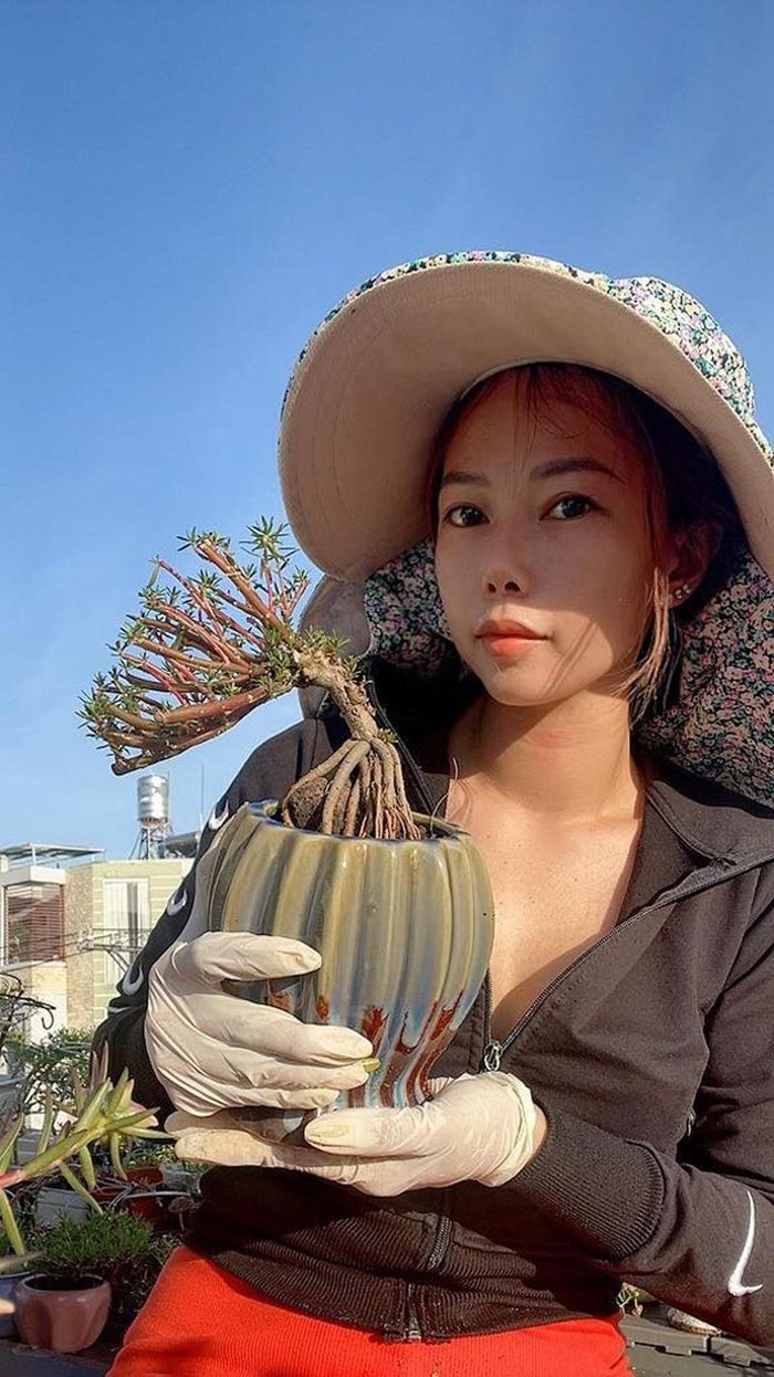 Cây hoa mười giờ bonsai có gốc to như ngón tay cái được dân Việt xuống tiền hơn nửa triệu để có bằng được - Ảnh 3.