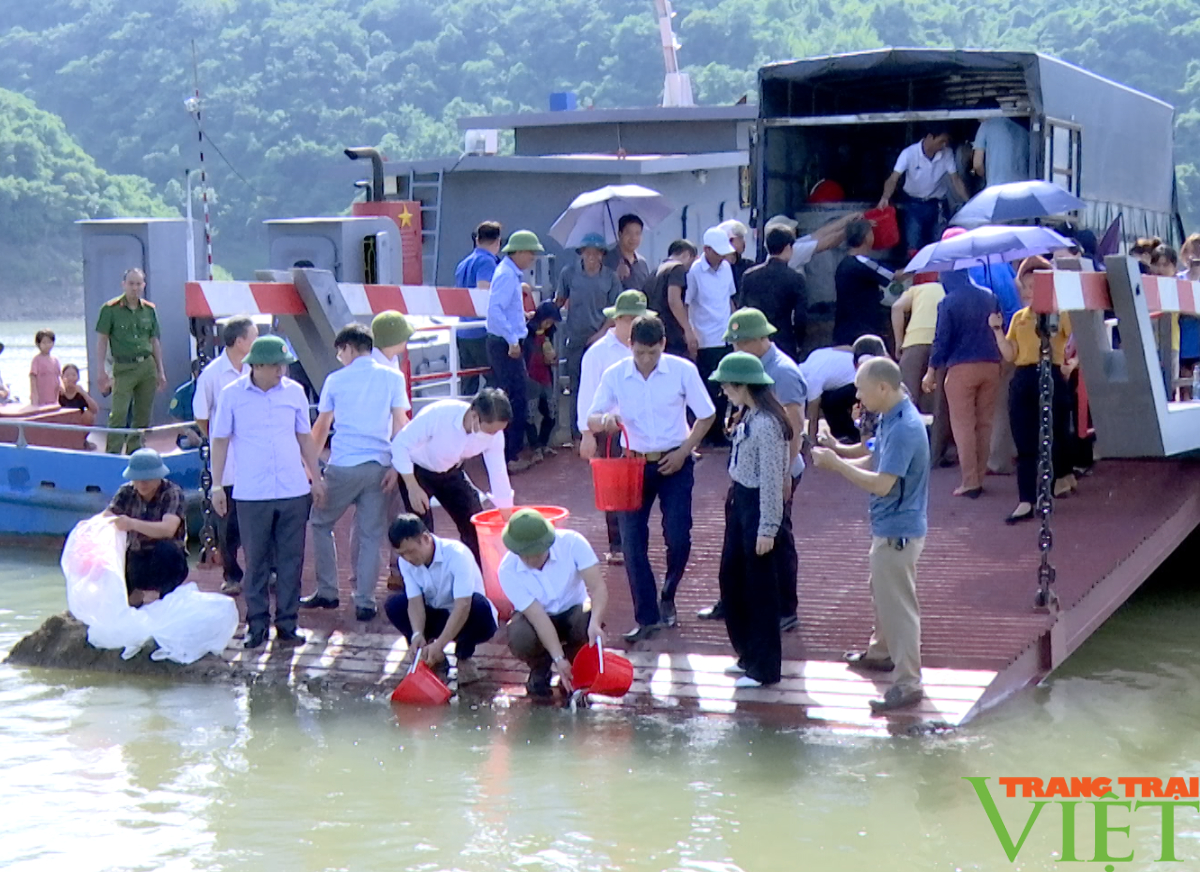 Hơn 120.000 cá giống được thả xuống lòng hồ thủy điện Sơn La và Hòa Bình - Ảnh 2.
