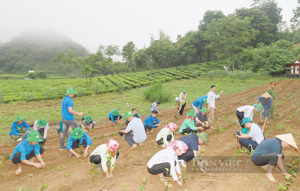 Bí thư Tỉnh ủy Lào Cai Đặng Xuân Phong: &quot;Mục tiêu cuối cùng là người dân làm giàu được từ trồng chè&quot; - Ảnh 4.