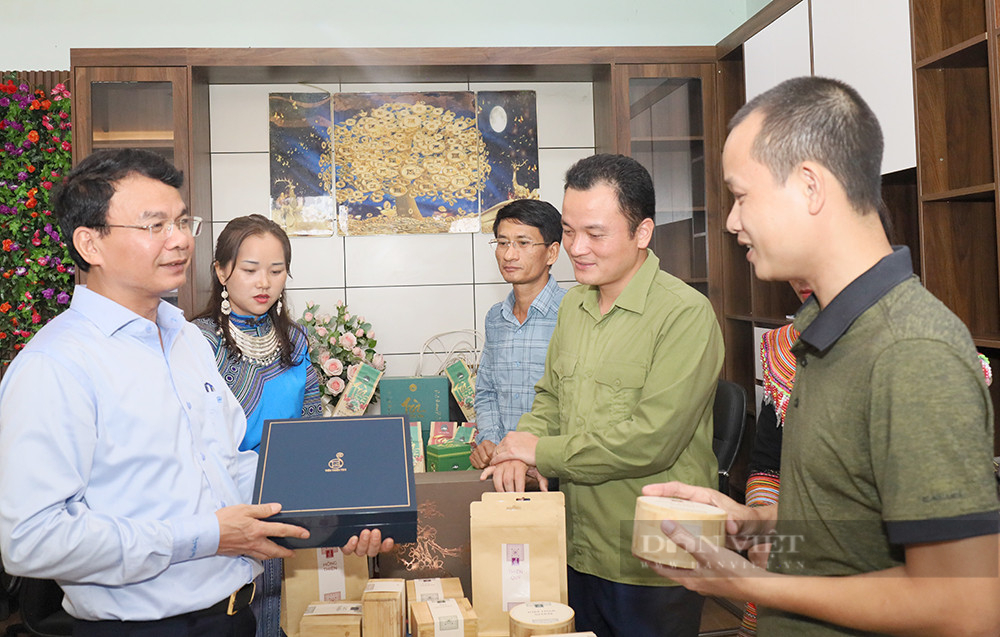 Bí thư Tỉnh ủy Lào Cai Đặng Xuân Phong: &quot;Mục tiêu cuối cùng là người dân làm giàu được từ trồng chè&quot; - Ảnh 8.