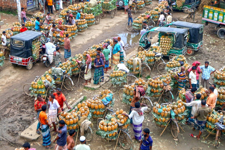 Nông dân Bangladesh phấn khởi thu hoạch trái vàng ruộm lắm mắt nhiều chất dinh dưỡng cực tốt cho sức khỏe - Ảnh 8.