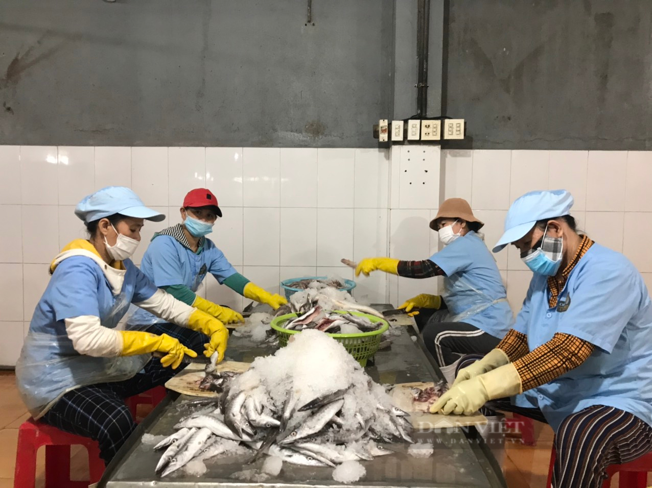 Khánh Hòa: Nữ tỷ phú làm giàu từ nghề làm chả cá sạch - Ảnh 6.