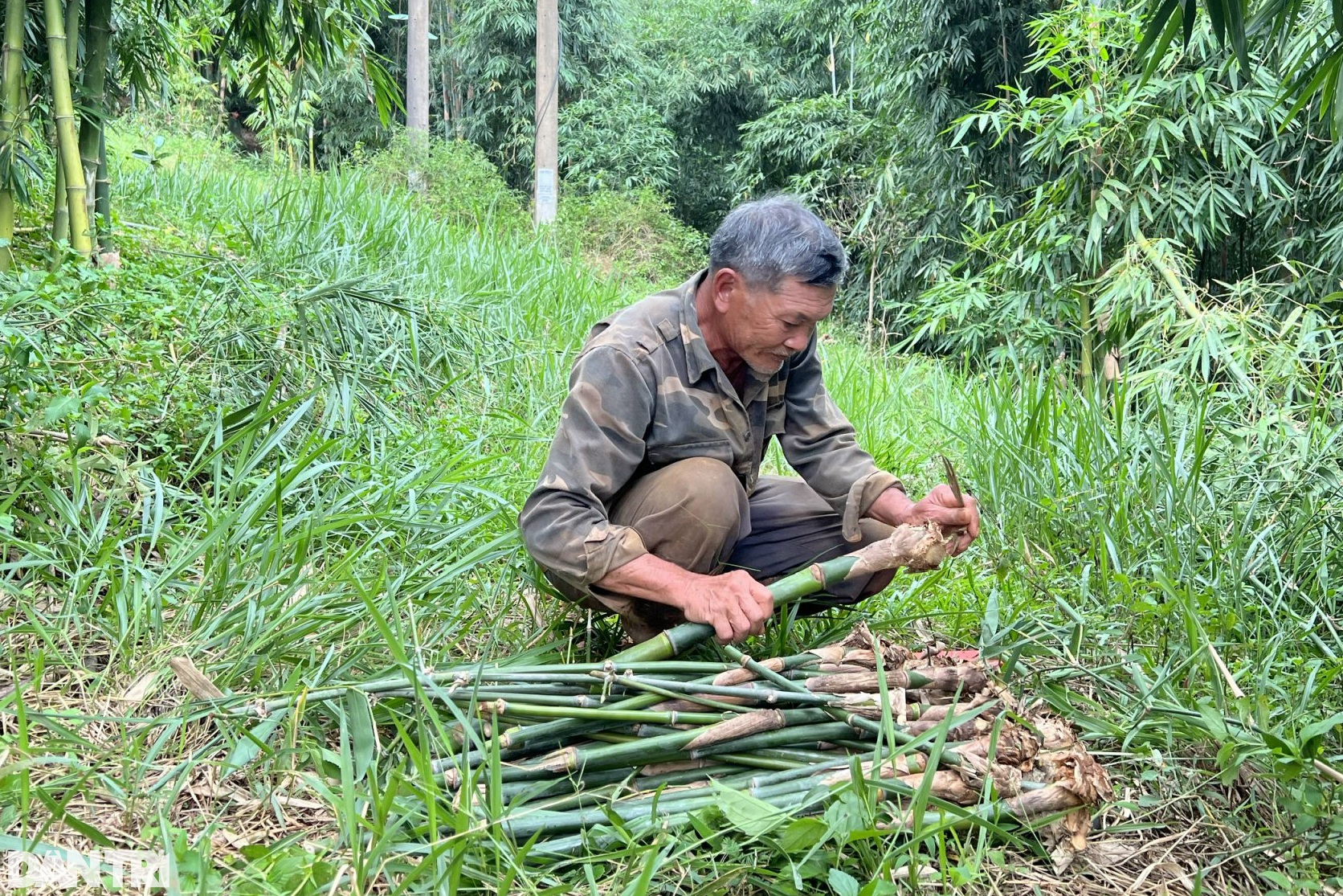 Nhờ vườn cây &quot;trăm đốt&quot; độc nhất vô nhị, vợ chồng lão nông cao nguyên tiền tỷ mỗi tháng - Ảnh 4.