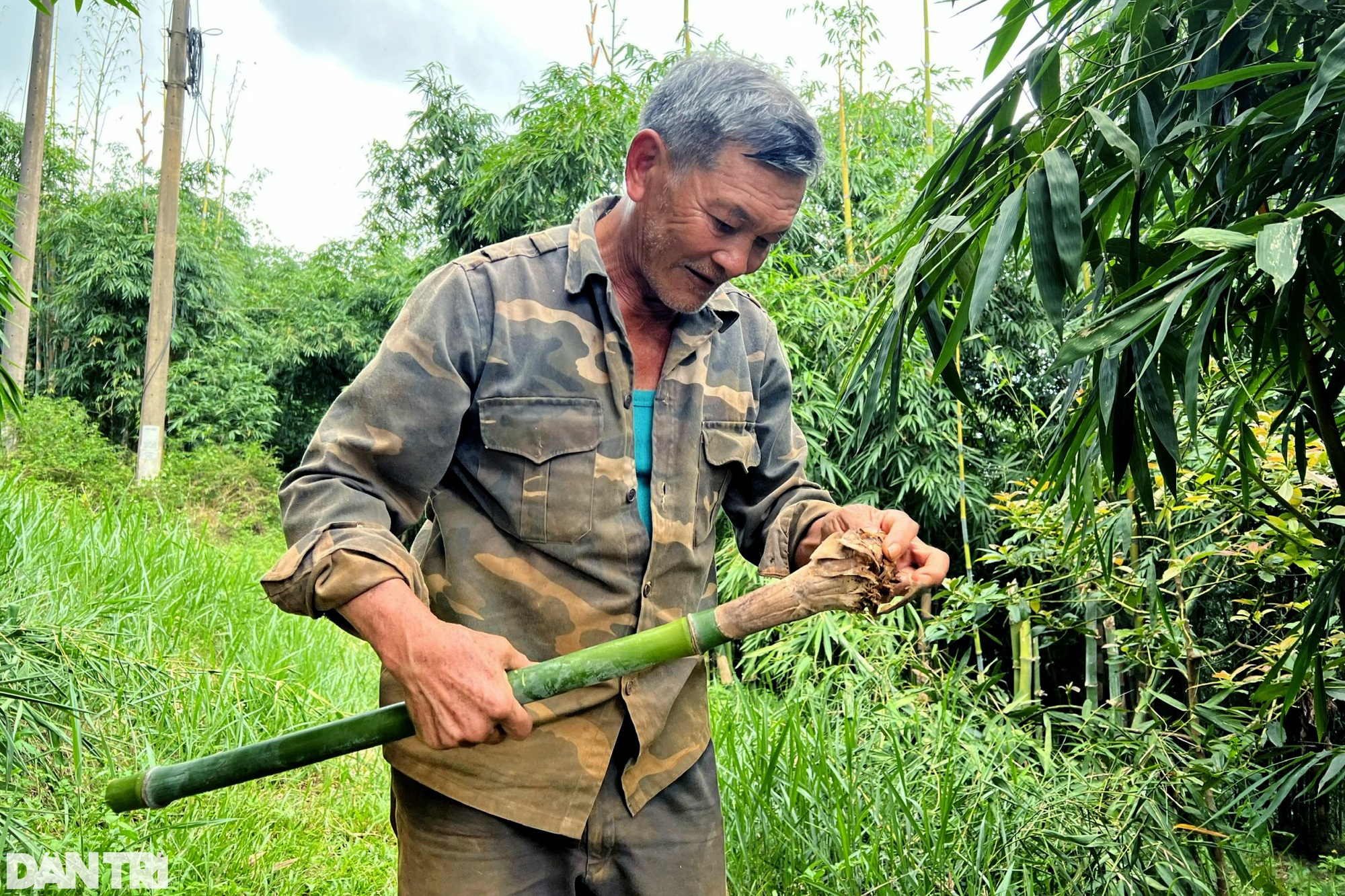 Nhờ vườn cây &quot;trăm đốt&quot; độc nhất vô nhị, vợ chồng lão nông cao nguyên tiền tỷ mỗi tháng - Ảnh 5.