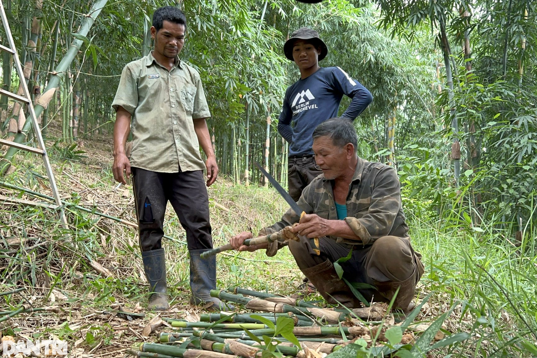 Nhờ vườn cây &quot;trăm đốt&quot; độc nhất vô nhị, vợ chồng lão nông cao nguyên tiền tỷ mỗi tháng - Ảnh 7.