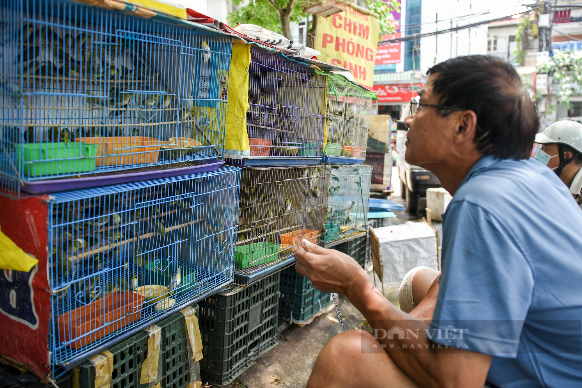 Hàng nghìn chú chim phóng sinh được bán ra trong dịp rằm tháng 7 - Ảnh 7.