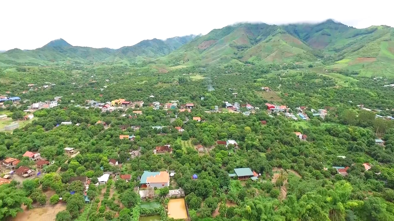 Sản xuất long nhãn sấy khô, nông dân vùng cao biên giới Sông Mã thu bội tiền - Ảnh 9.