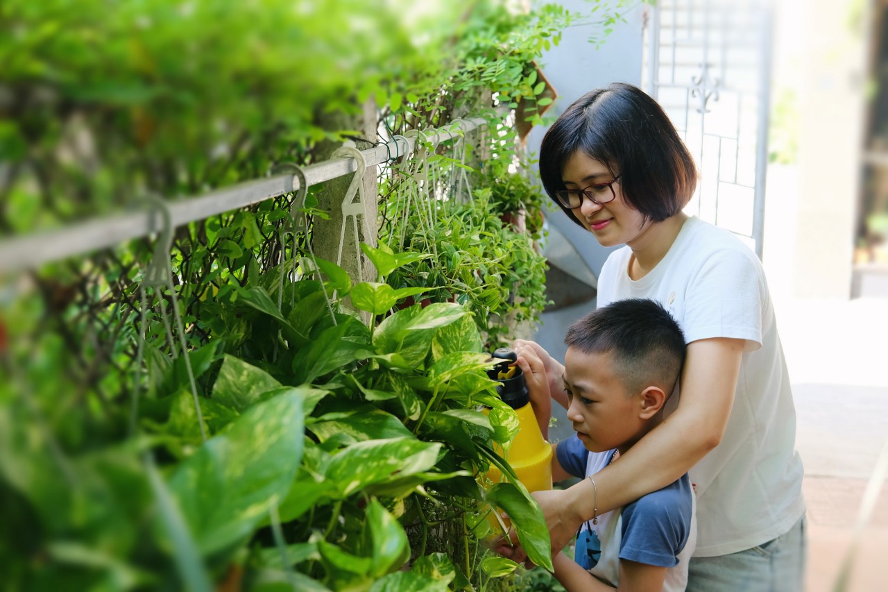 Mẹ đảm Hà thành chia sẻ bí quyết chăm sóc cây cảnh trong nhà để quanh năm cây nào cũng xanh tốt mơn mởn - Ảnh 1.